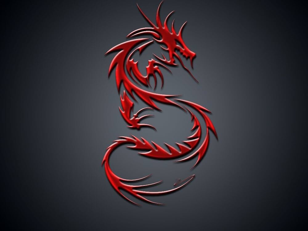 Red Dragon esports/freestyle team is live!!!