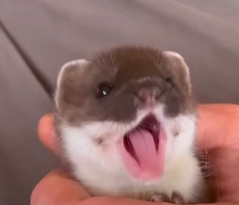 Looking for a weekend duo