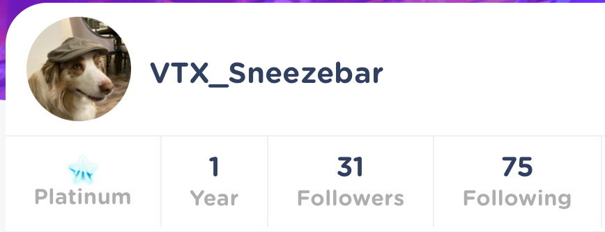 20 likes and 31 followers