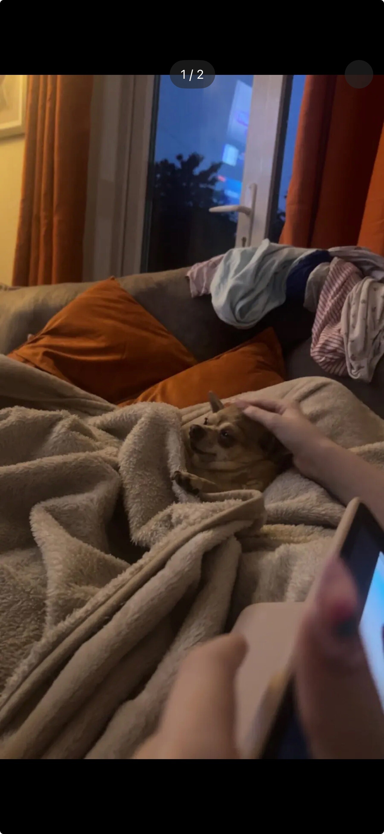 Rip lickels 🙇❤️