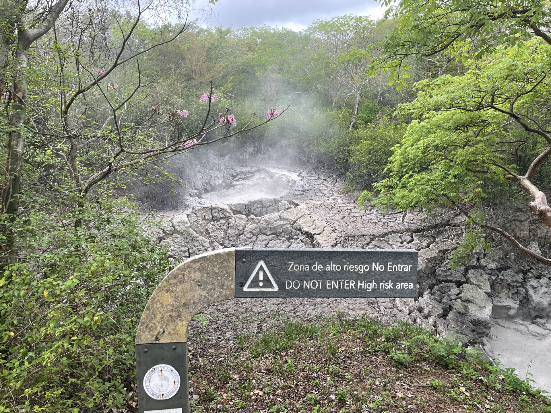 My 8th Grade Trip To…