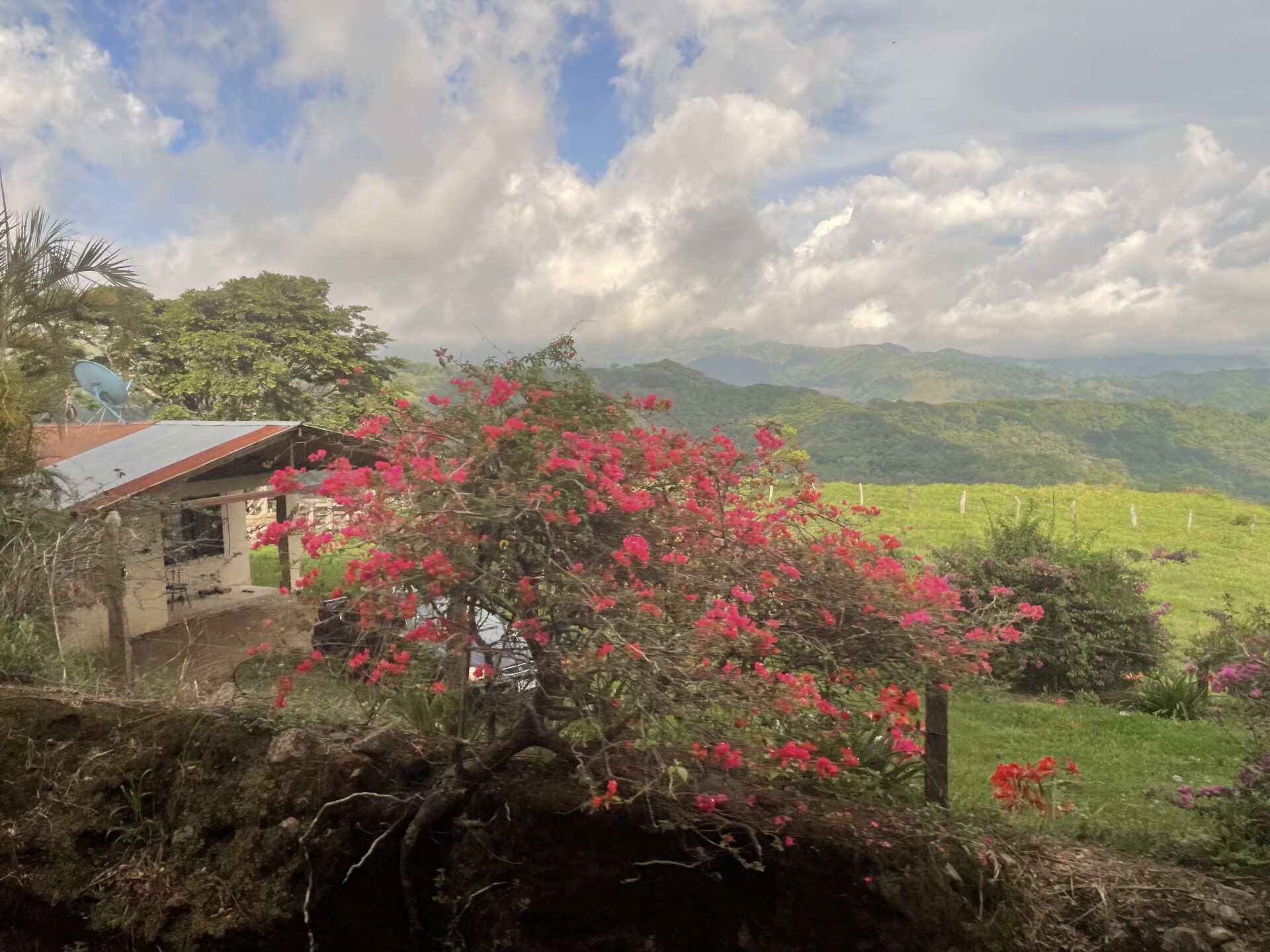 My 8th Grade Trip To…