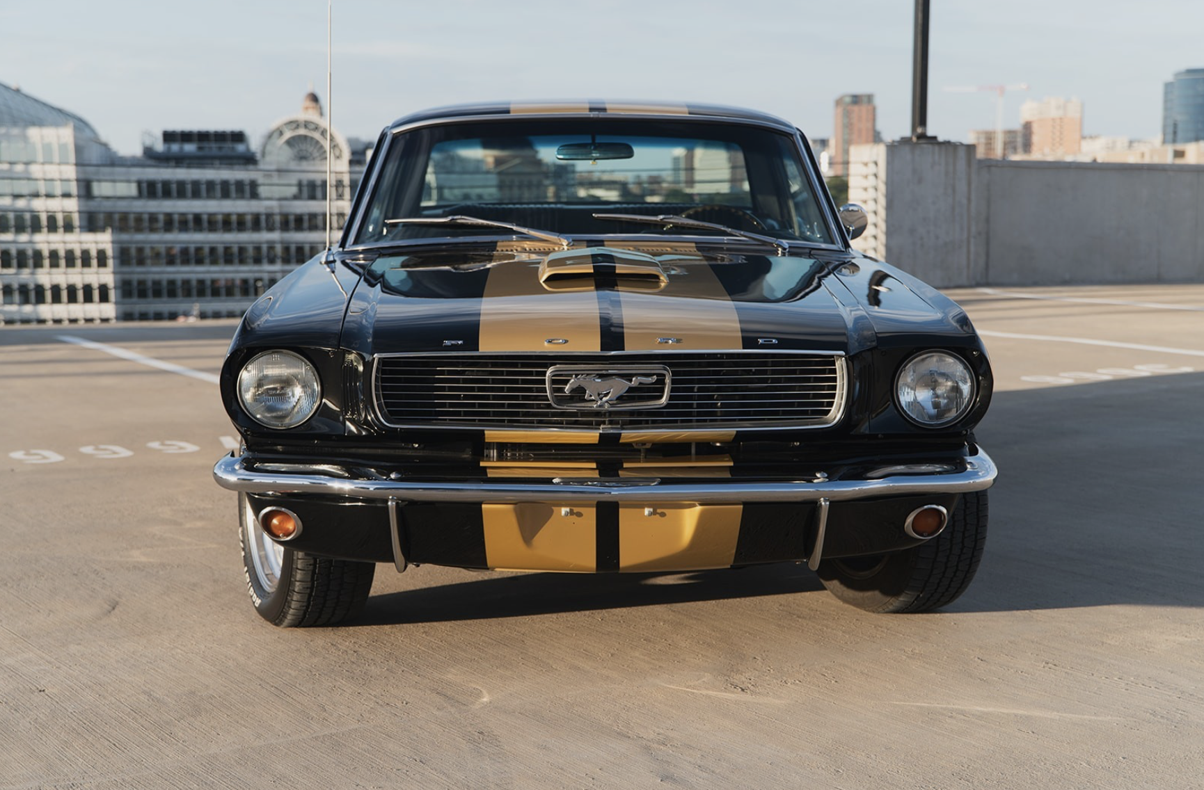 I need get me one a theez 🔥🔥